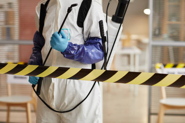 Professional Sewage Cleanup technician working in Gillett, WI